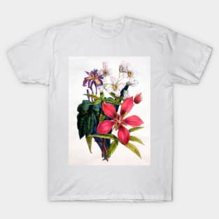 Flowers 1825 Iris, African-Hemp, Ketmia T-Shirt